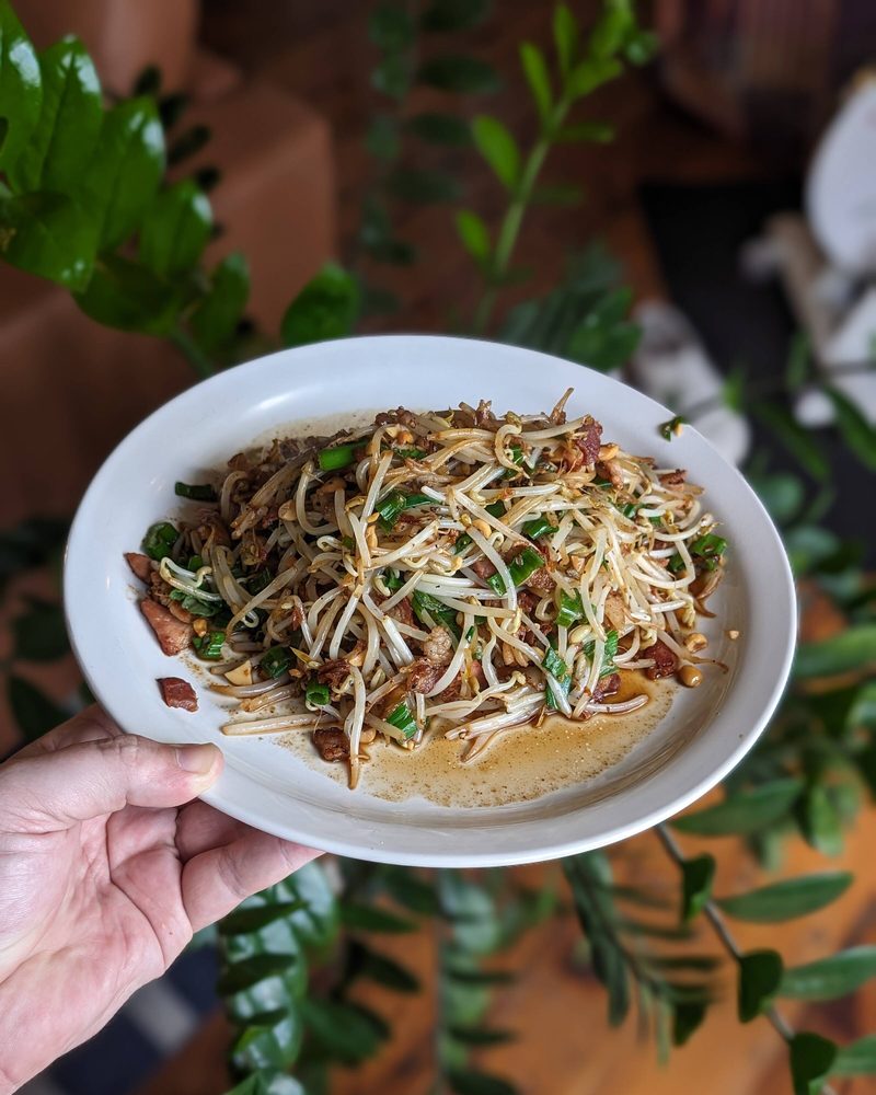 A hand holding a plate of fresh bean sprouts and herbs in front of a leafy houseplant